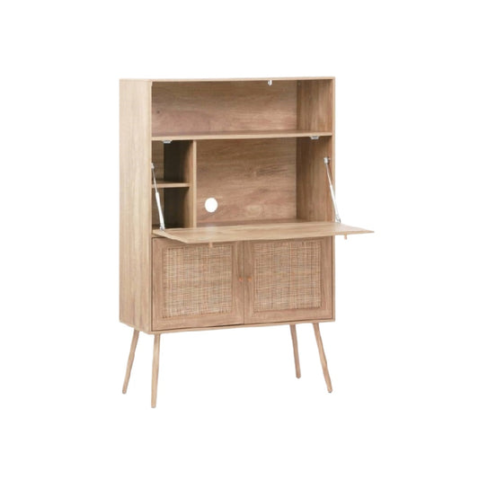Storage Cabinet for Living Room with Rattan Doors in Wood - 80 x 40 x 120